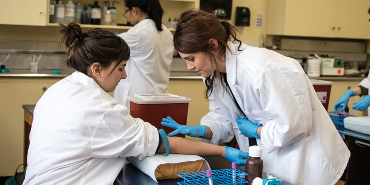 doctoral student performing a blood draw