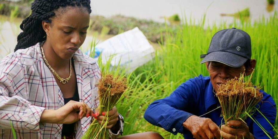 Academics - National University of Natural Medicine