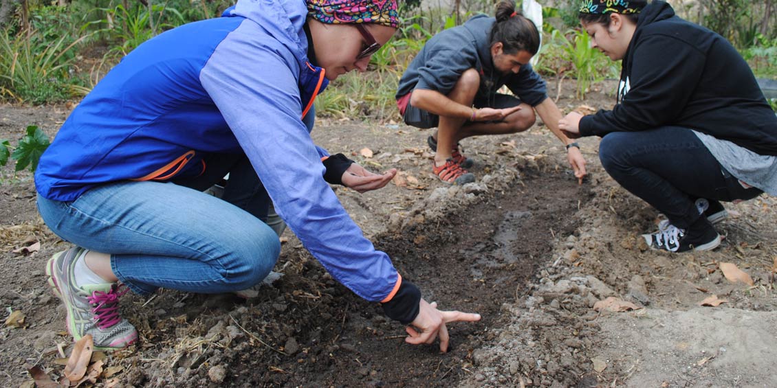 Three students planting seeds in a dirt plot
