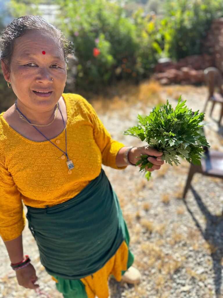 ParticipAid Nepali member working with herbs