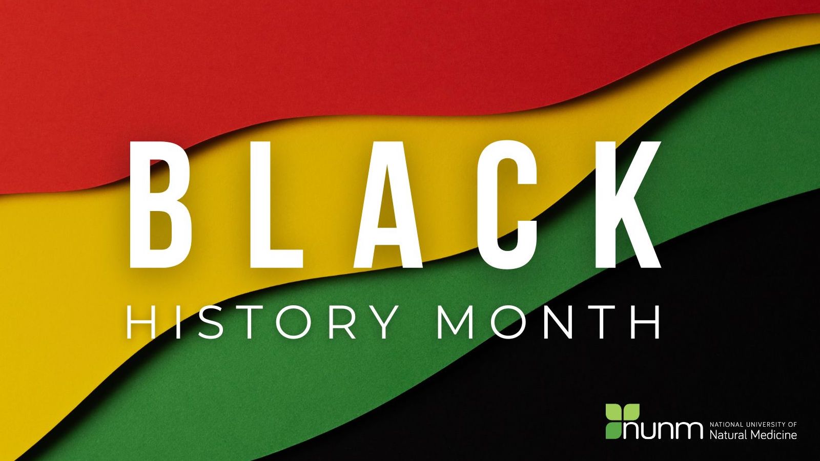 Black History Month 2025 with image of African flag colors