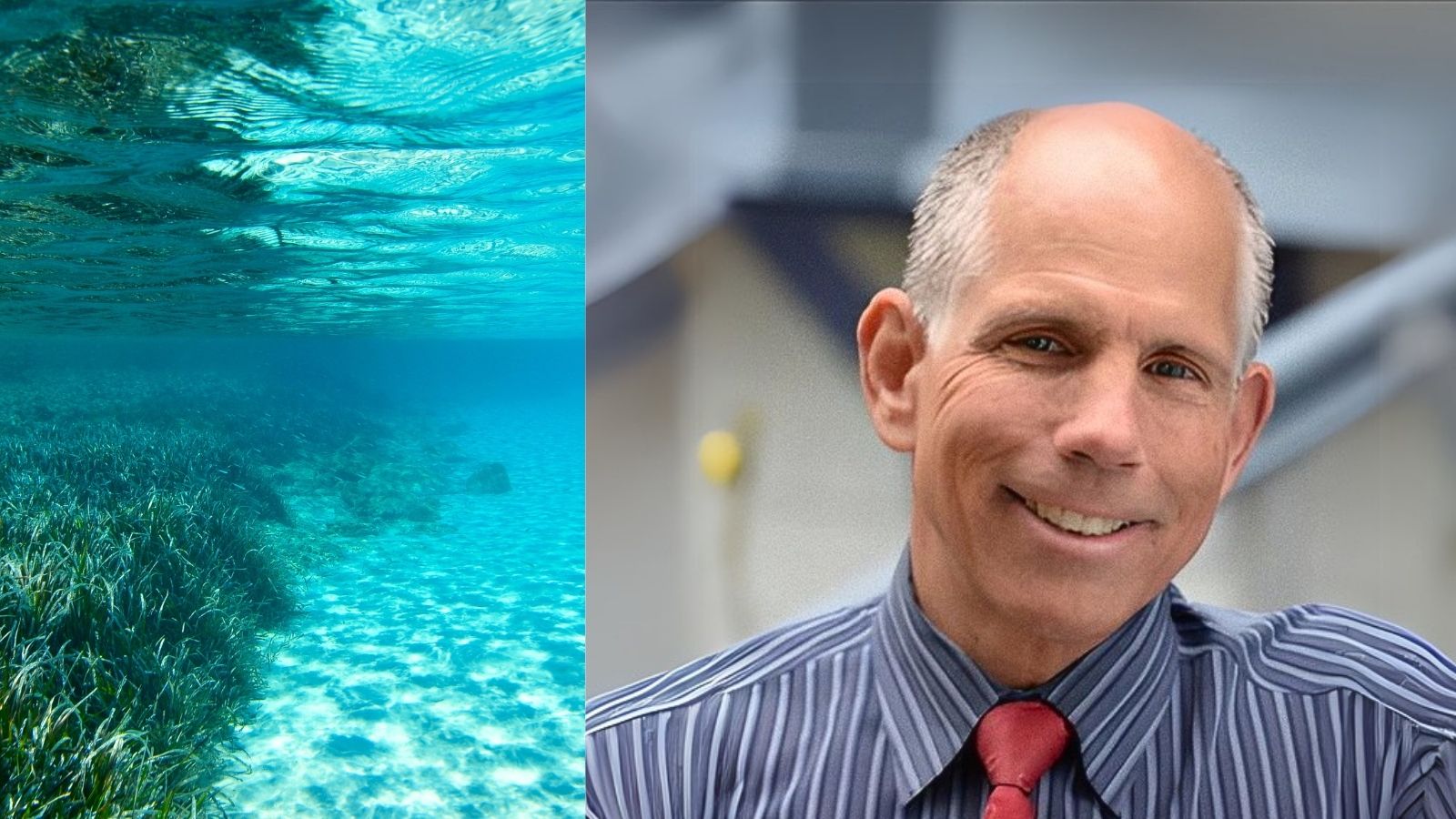 Dr Russell Marz in profile with ocean
