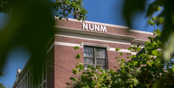 Naturopathic Medicine at NUNM: The Best of Both Worlds - National