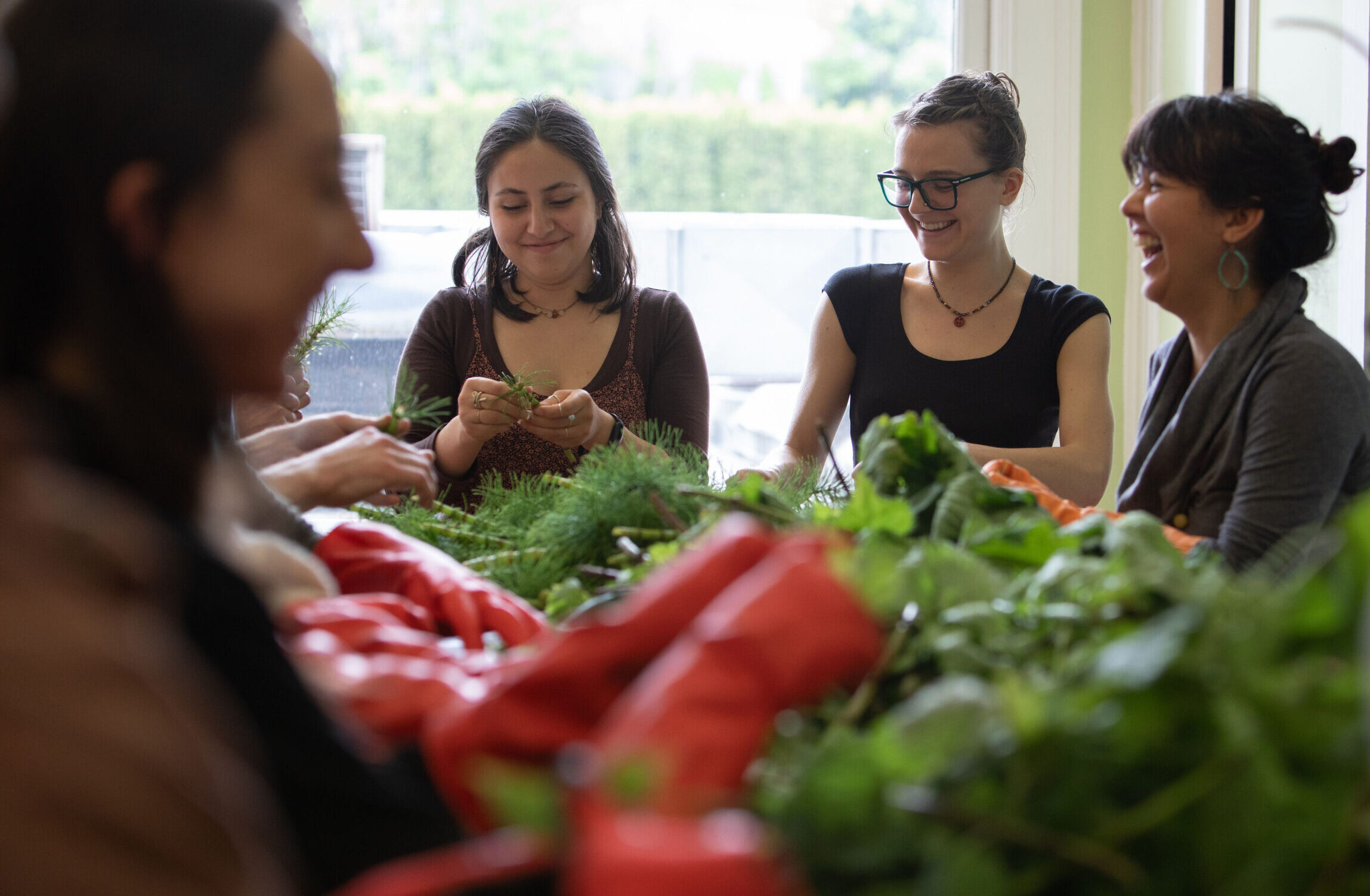 Four women sitting around a table working with herbs