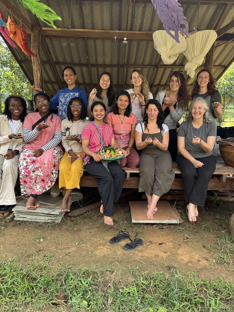 Master of Science in Global Health students gain insights into community health systems, traditional medicine, and the social determinants of health.