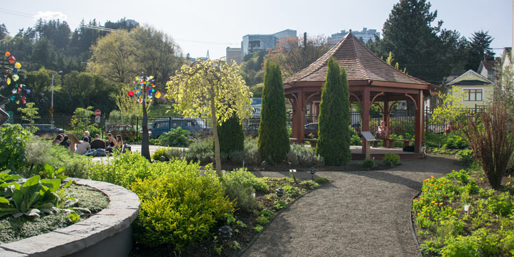 Min Zidell Garden with green plants and a gazebo