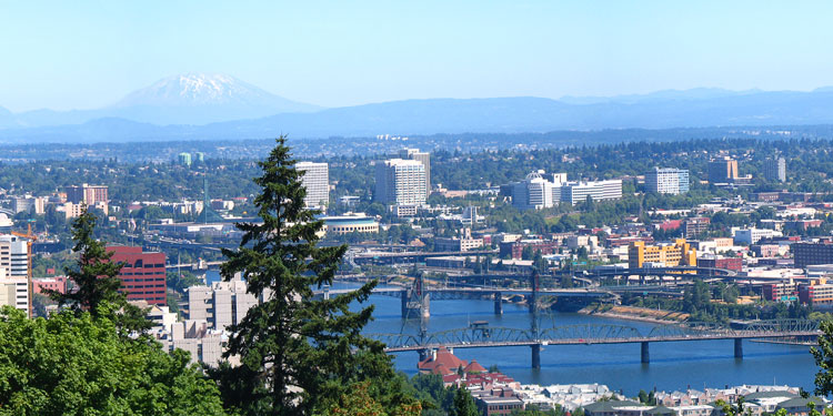 View of Portland bridges from downtown