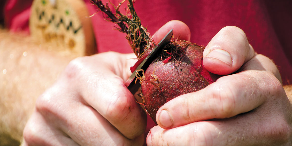 Close-up of hands holding and peeling a beetroot vegetable with a knife, representative of the kitchen-first Master of Science in Nutrition degree program at the National University of Natural Medicine (NUNM)